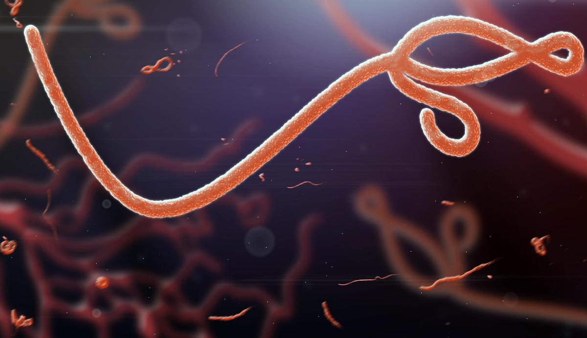 A Generation Under Attack: Congo Battles Ebola Yet Again
