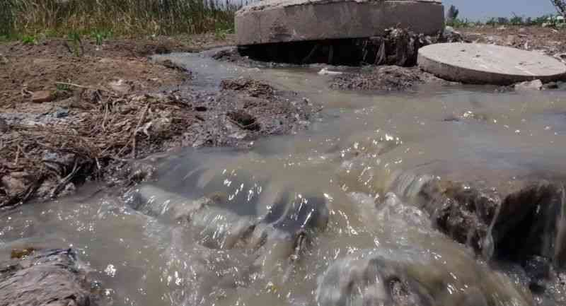 Sewer Bursts Plague Dzivarasekwa's Ward 39, Raising Health Fears Amid Rains