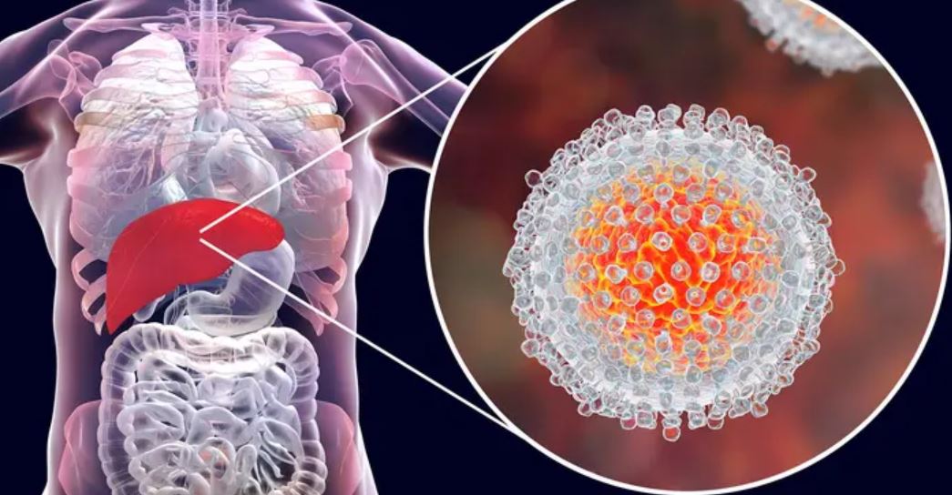 Hepatitis B (HBV) Safety in Zimbabwe