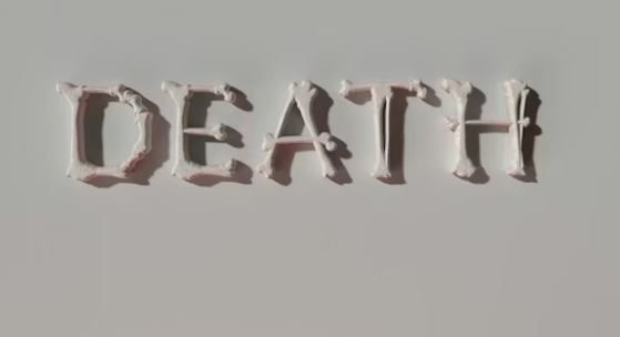 Zimbabwean Woman Found Dead in Kraków Apartment